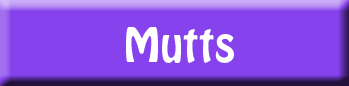 mutts in orange county